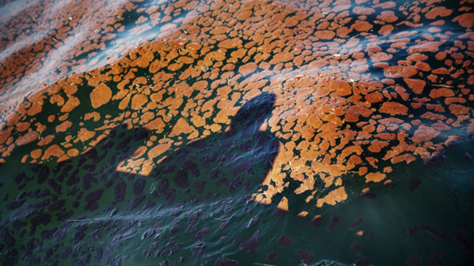 cheats/2011/01/07/microbes-devoured-gases-from-bp-spill/dramatic-oil-spill---15_g8bzyw