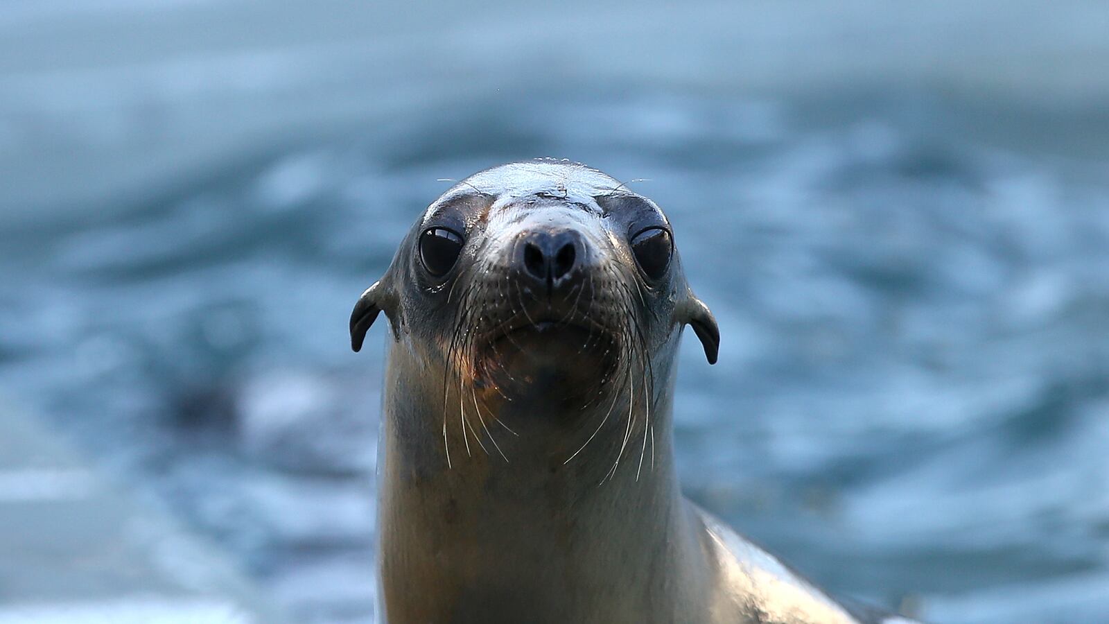 GettyImages-466720900_qqdqy2