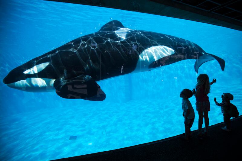 galleries/2014/03/22/the-week-in-pictures-march-22-2014/140321-week-pictures-12_p2kbue