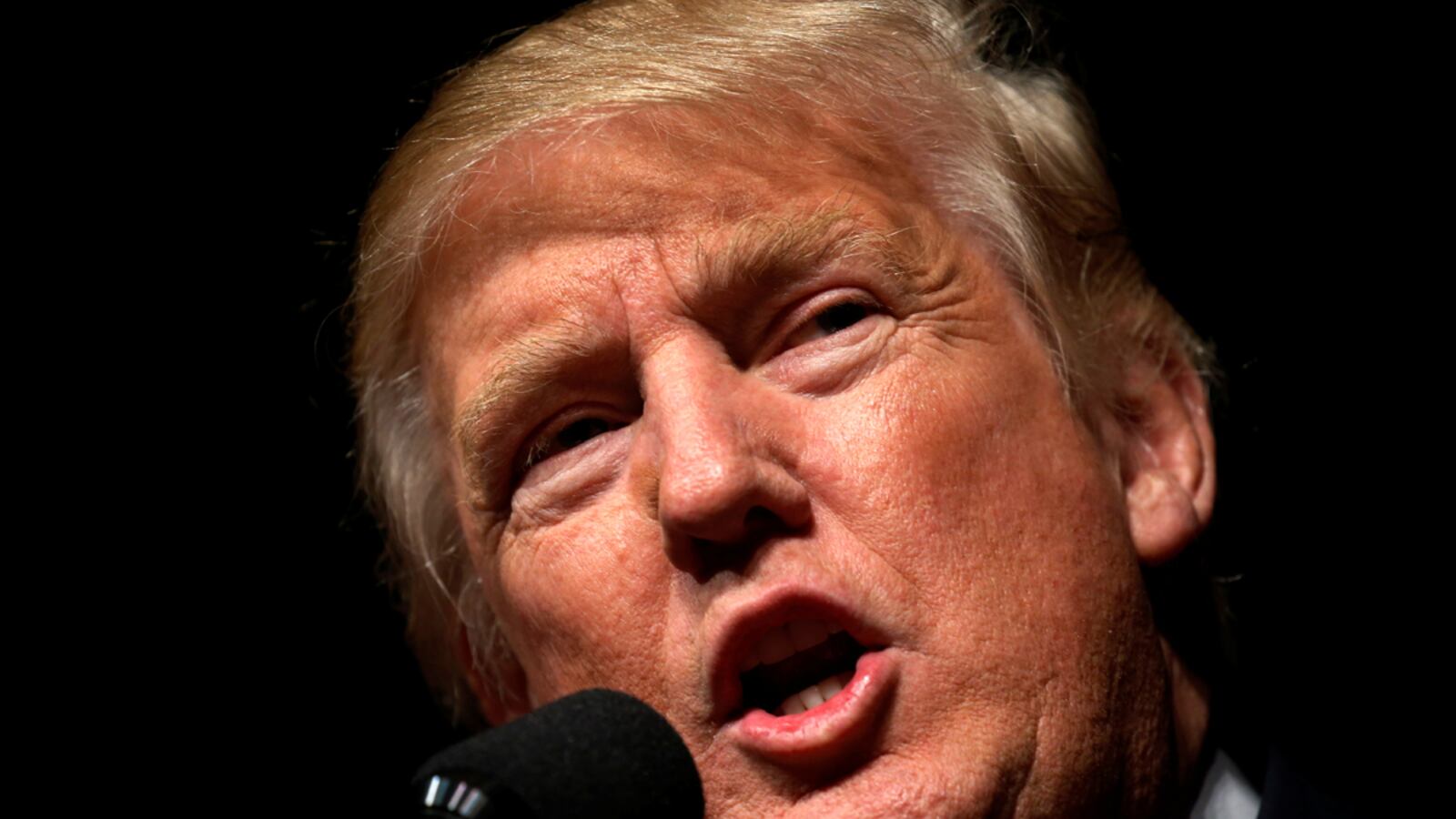 cheats/2016/10/17/report-trump-tv-is-in-the-works/161017-trump-tv-talks-cheat_v3vrjw