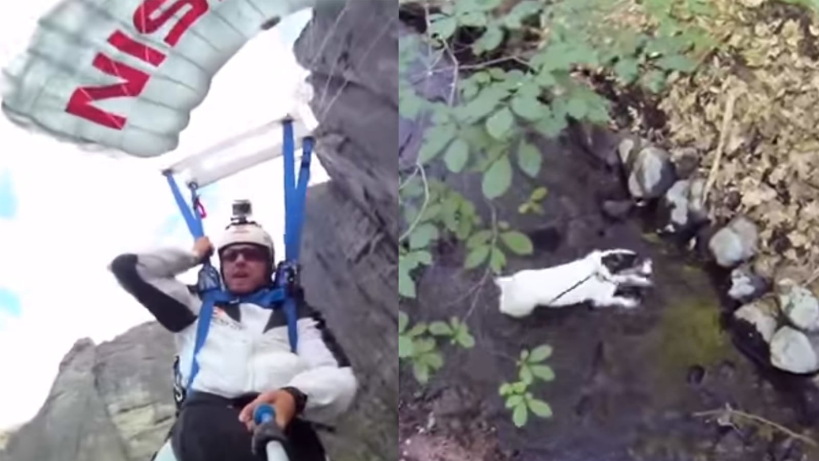 articles/2014/10/02/viral-video-of-the-day-how-people-really-use-their-gopro/141002-viralvid-gopro-tease_dpz1lk