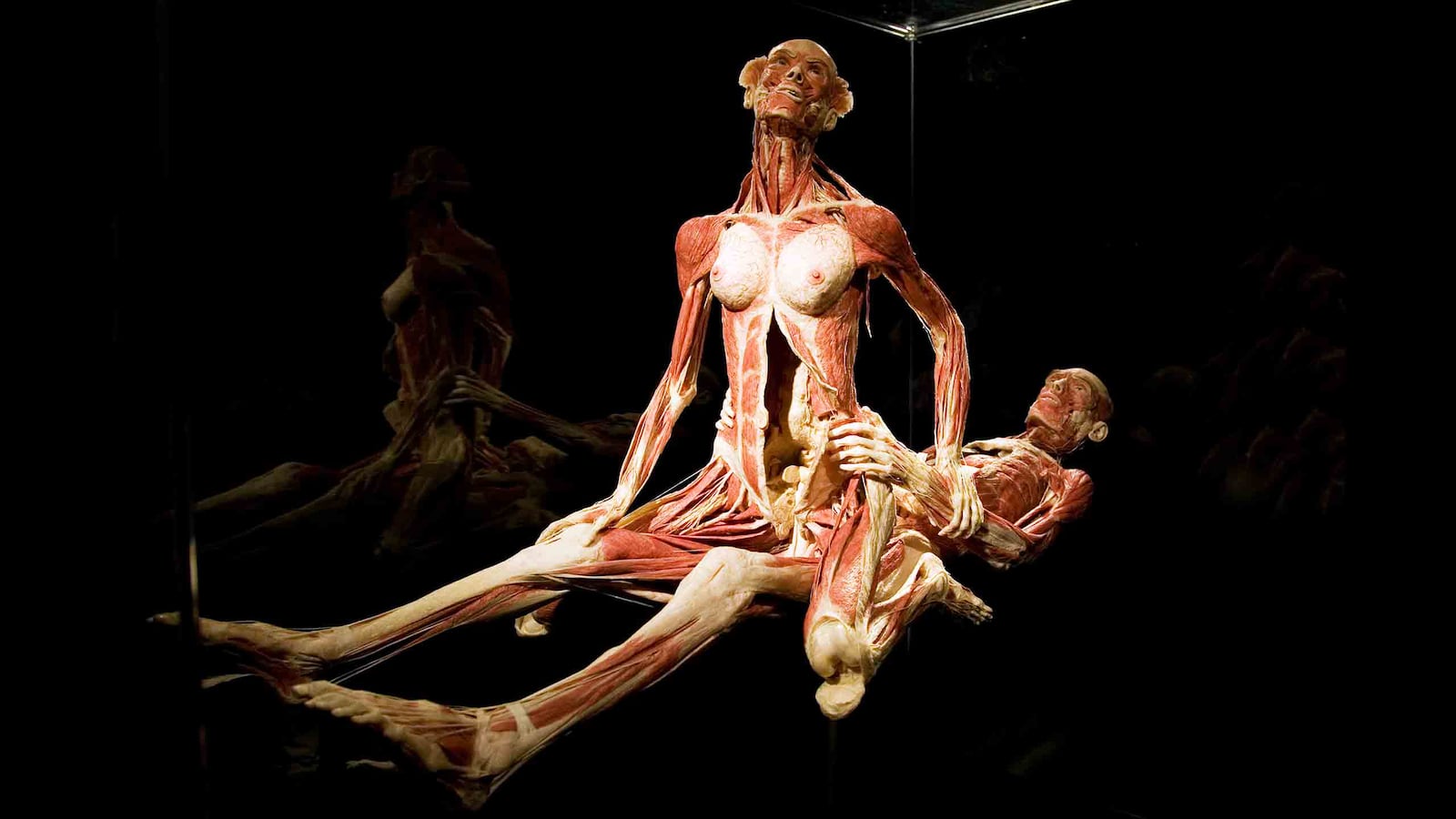 You Can See Dead People Having Sex For Less Than $20. But, Should You?