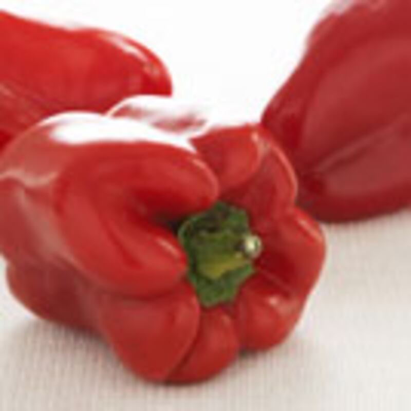 articles/2010/02/16/what-to-eat-mardi-gras/what-to-eat---chicken-gumbo_y5nqrg