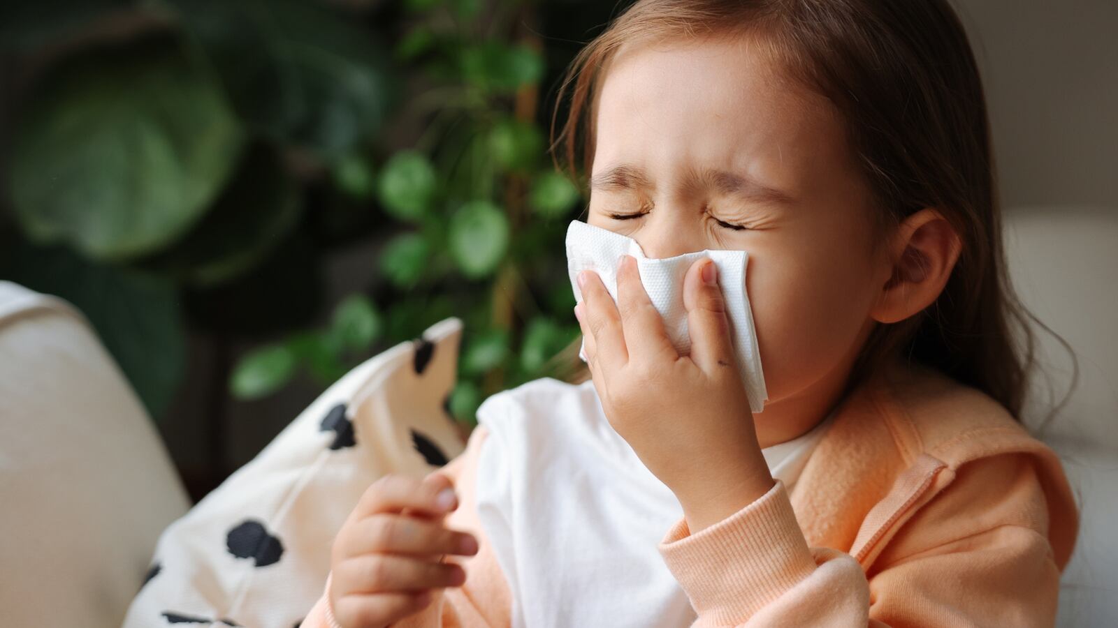 Sick little schoolgirl coughs and blows nose wiping with white paper napkin.