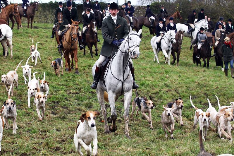 galleries/2011/10/27/photo-of-the-day/photo-of-the-day-111224-1_lxkunv