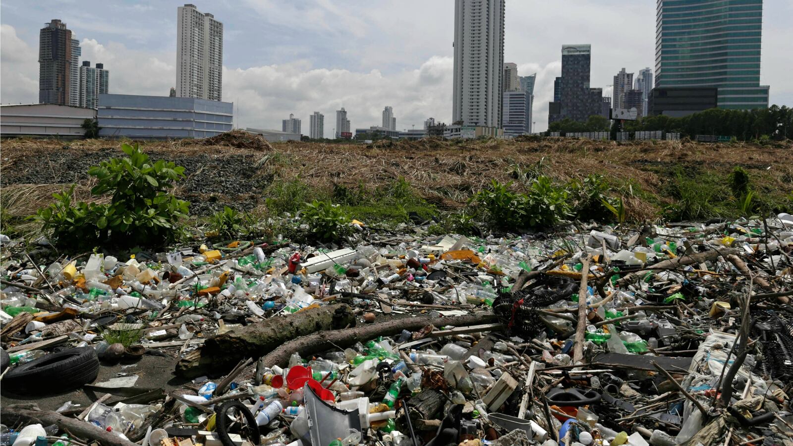 180416-scientists-mutant-enzyme-plastic-cheat_dlb16y