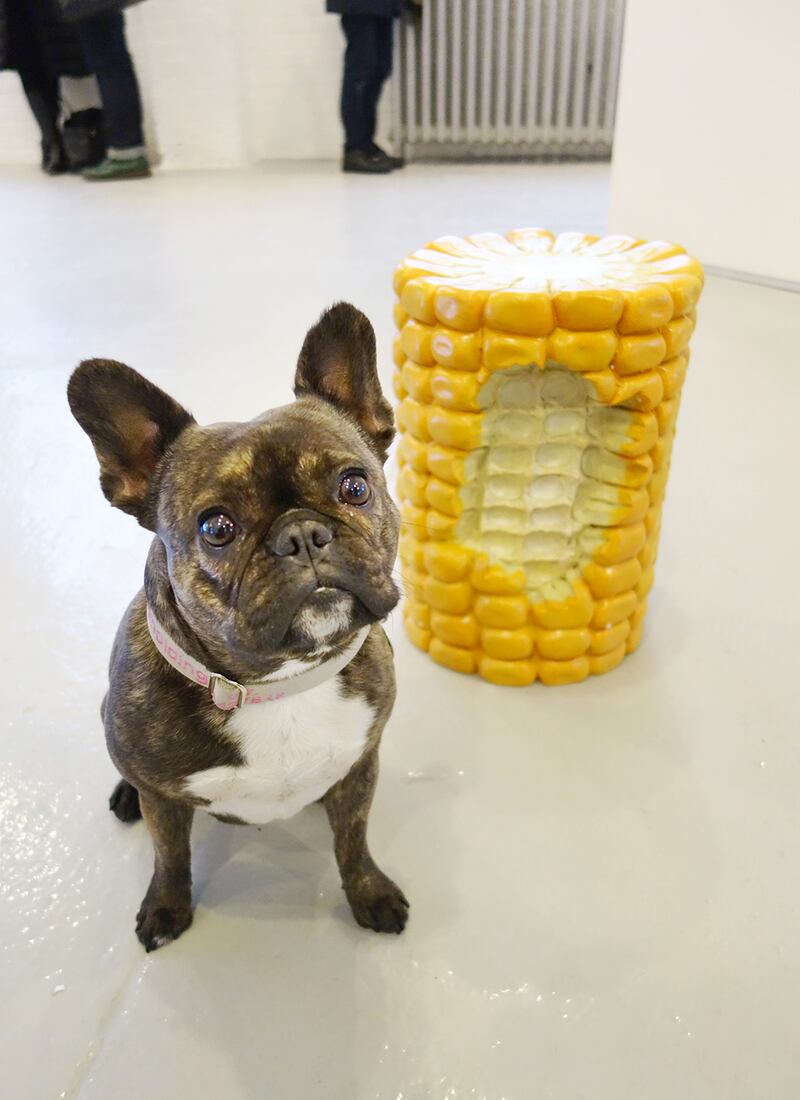 galleries/2015/03/10/meet-pickle-the-art-world-s-favorite-canine-blogger/150309-pickles-art1_v8jf2k