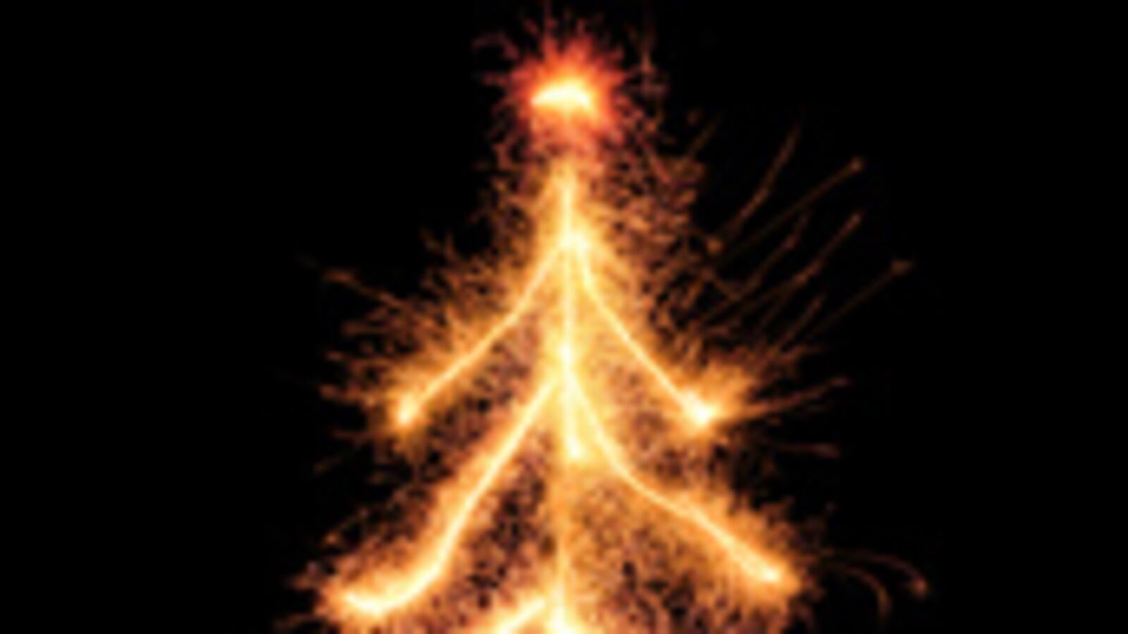 articles/2008/12/09/who-started-the-war-on-christmas/blumenthal-war-on-christmas-tree_7082_xqrbdy