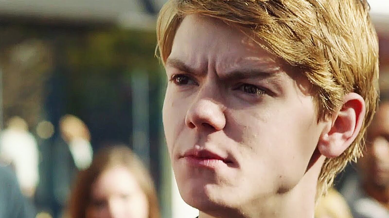 articles/2015/08/12/blood-shakespeare-and-hollywood-royalty-antonia-and-peter-bogdanovich-on-phantom-halo-and-sexism/150808-goldstein-phantom-halo-tease_u1ufus