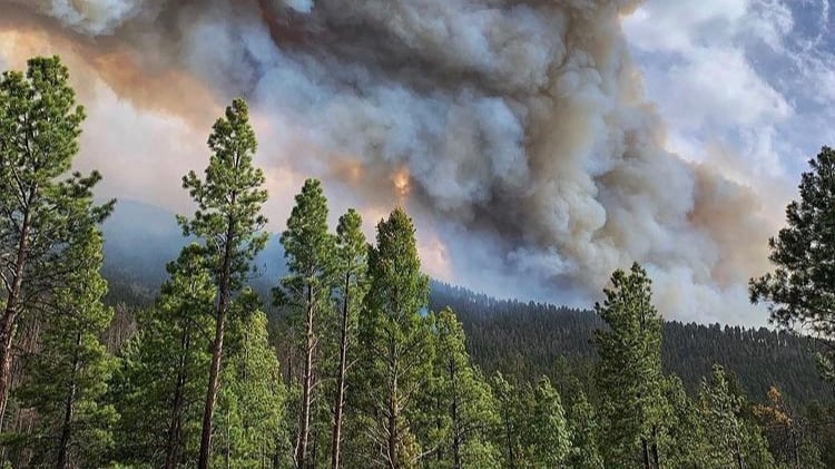 Cerro Pelado fire raging April 22nd 2022 in the Jemez mountains.