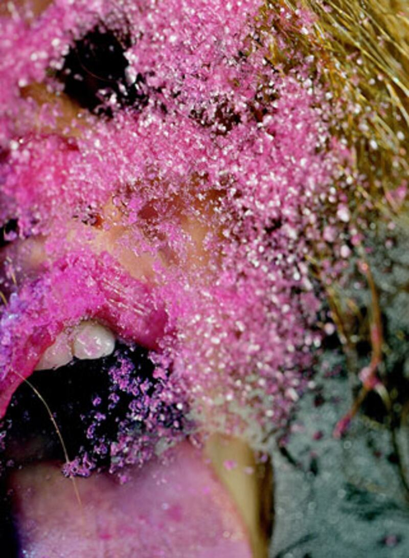 galleries/2009/10/22/marilyn-minter-s-dirty-world/marilyn-minter-11_dr0t1f