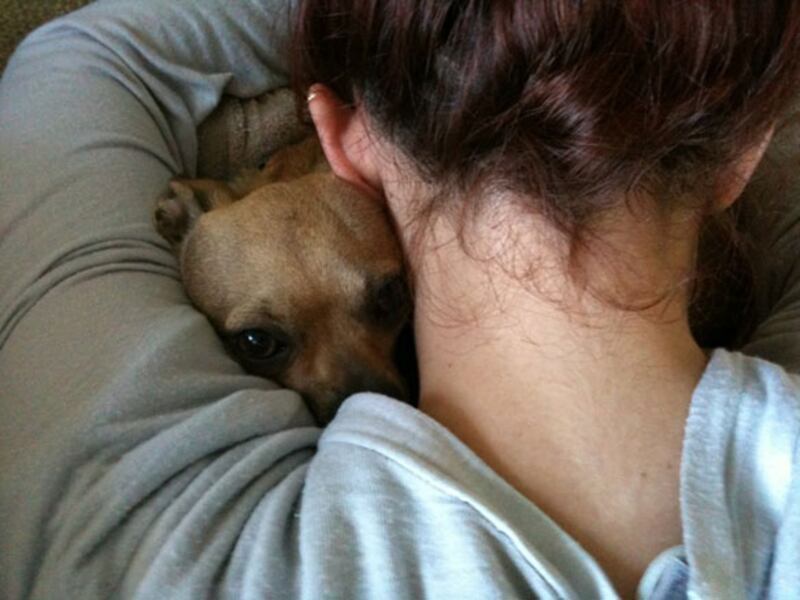 galleries/2010/07/14/best-celebrity-twit-pics/twitpi714---willis_yy8pbu