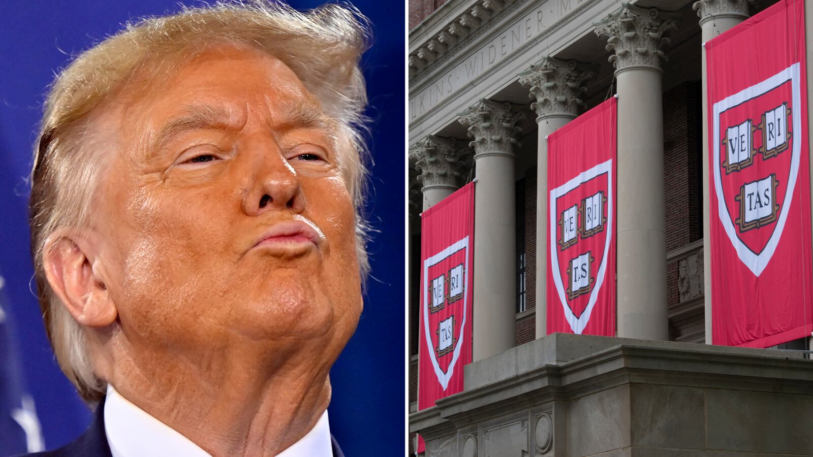 Donald Trump and Harvard banners