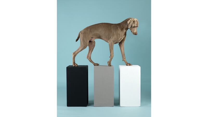 170929-36109_Contact_2014_j83sa1