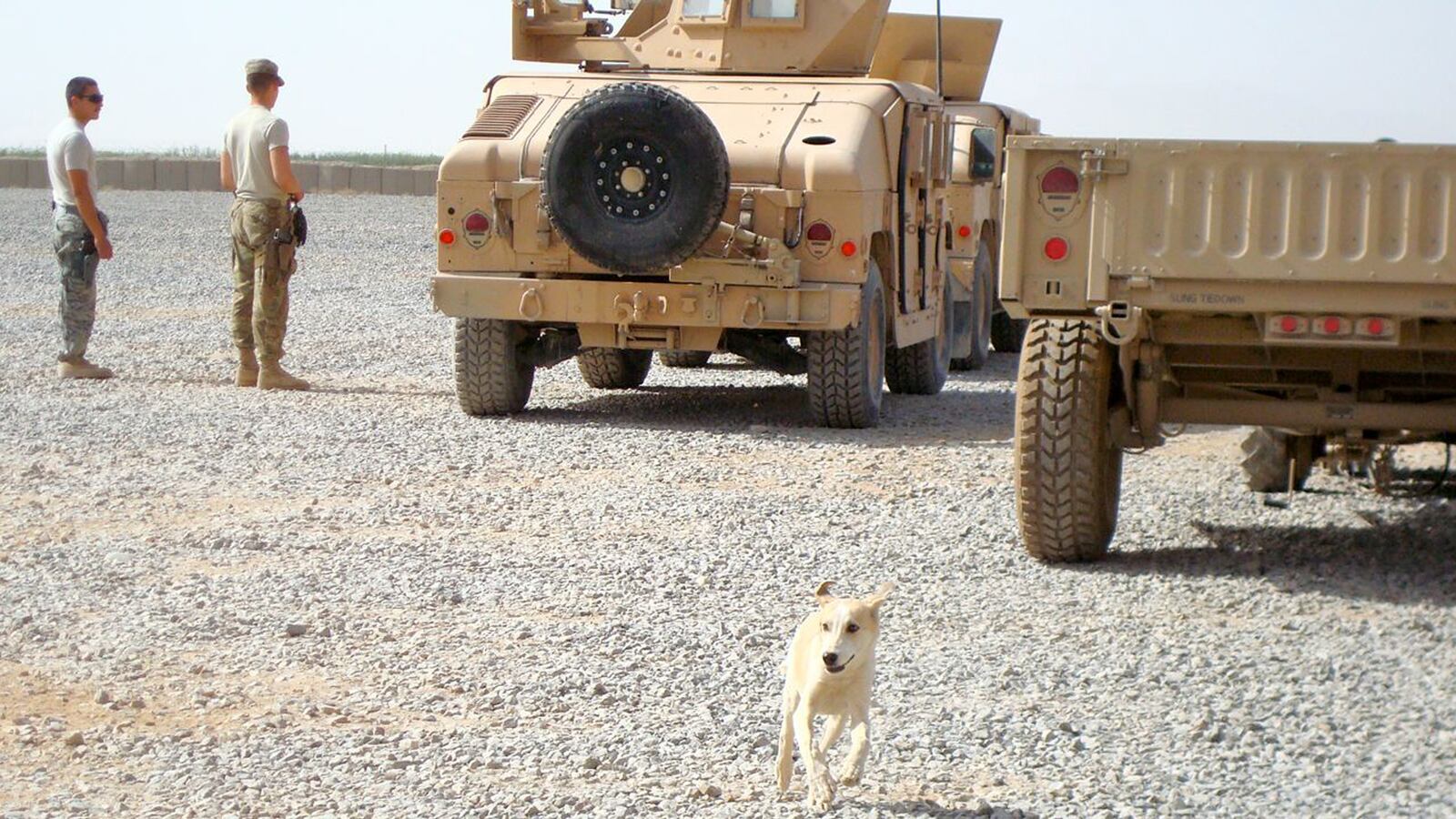 articles/2013/03/13/my-dog-solha-from-afghanistan-with-ptsd/130312-Nadler-Dogs-PTSD-tease_tmpwy8
