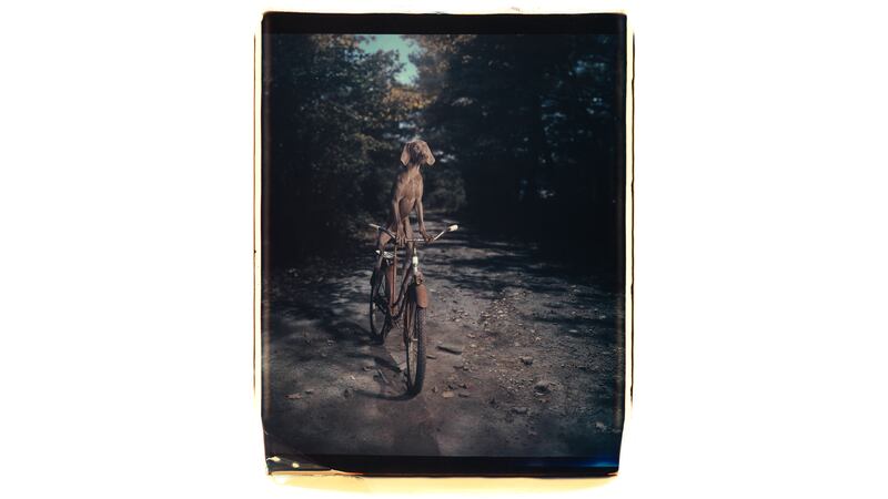 170929-05452_-_Uphill_thwn2b