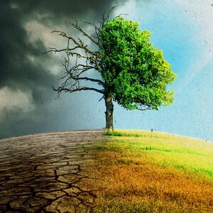 220228-Michaelson-Climate-Change-tease_lpu6qn