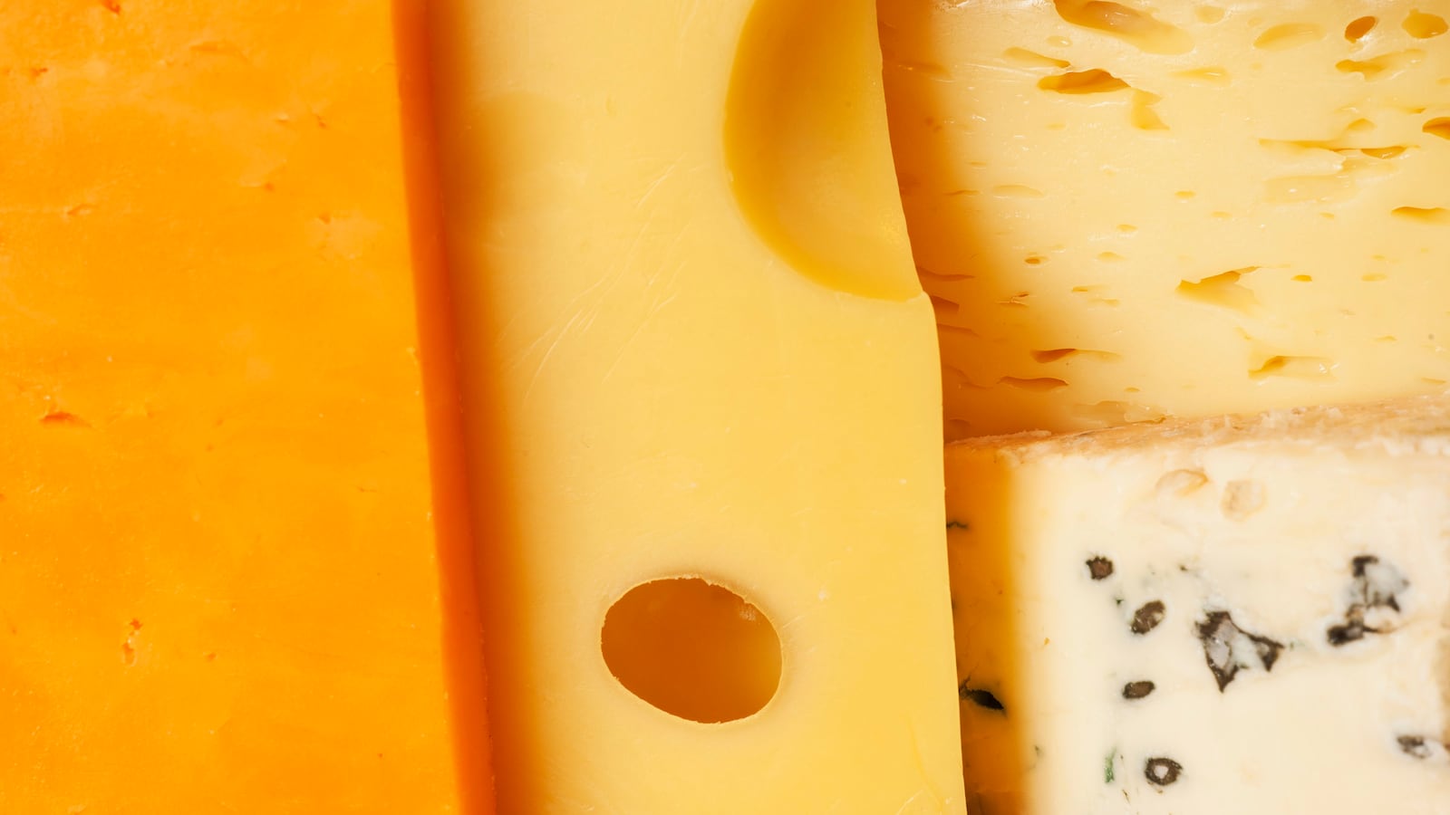 201005-berkowitz-cheese-tease_a547pz