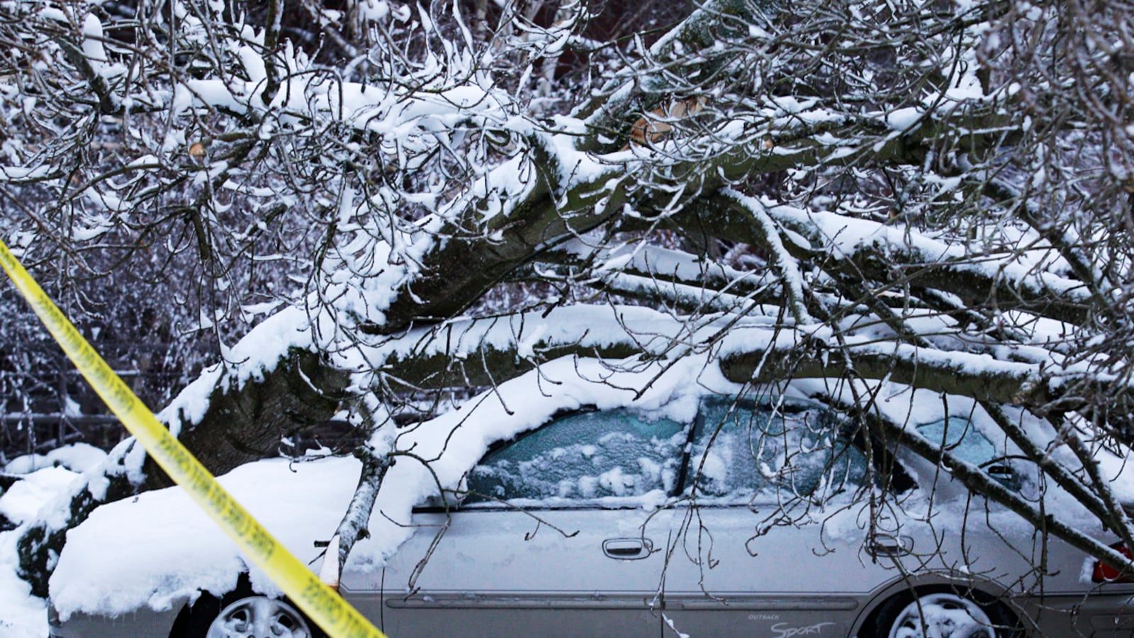 cheats/2012/01/20/ice-storm-adds-misery-to-northwest/weather-snow-washington-northwest-cheat_d40nh8