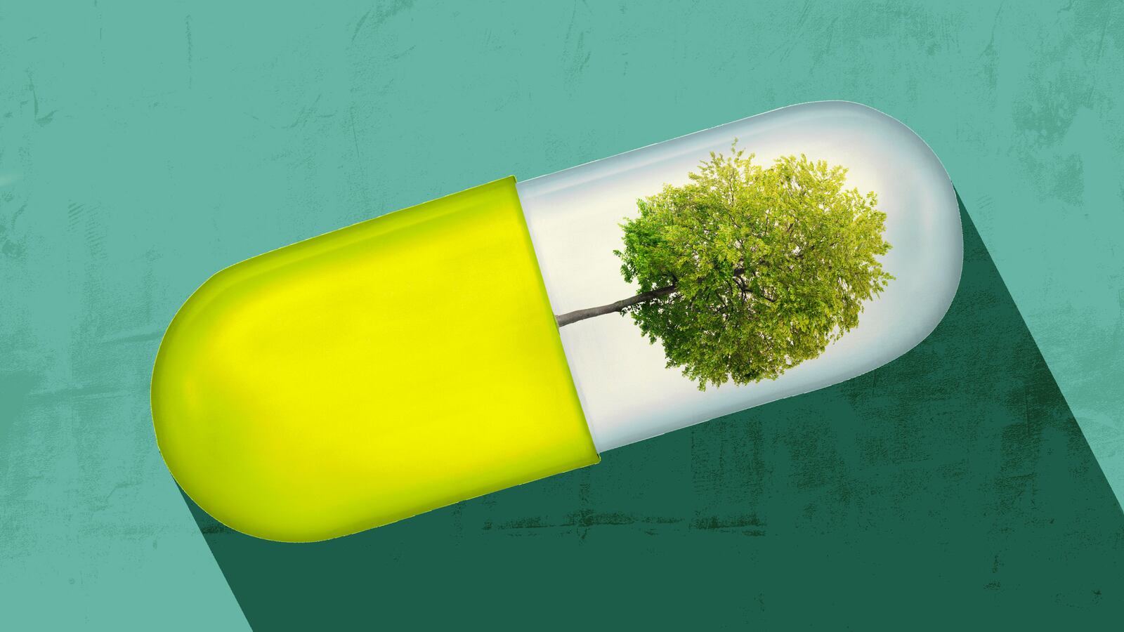 180721-westman-ecofriendly-meds-hero_ldriog