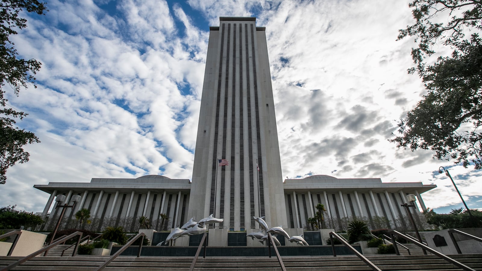 011521-tallahasse-cheat_wpjels