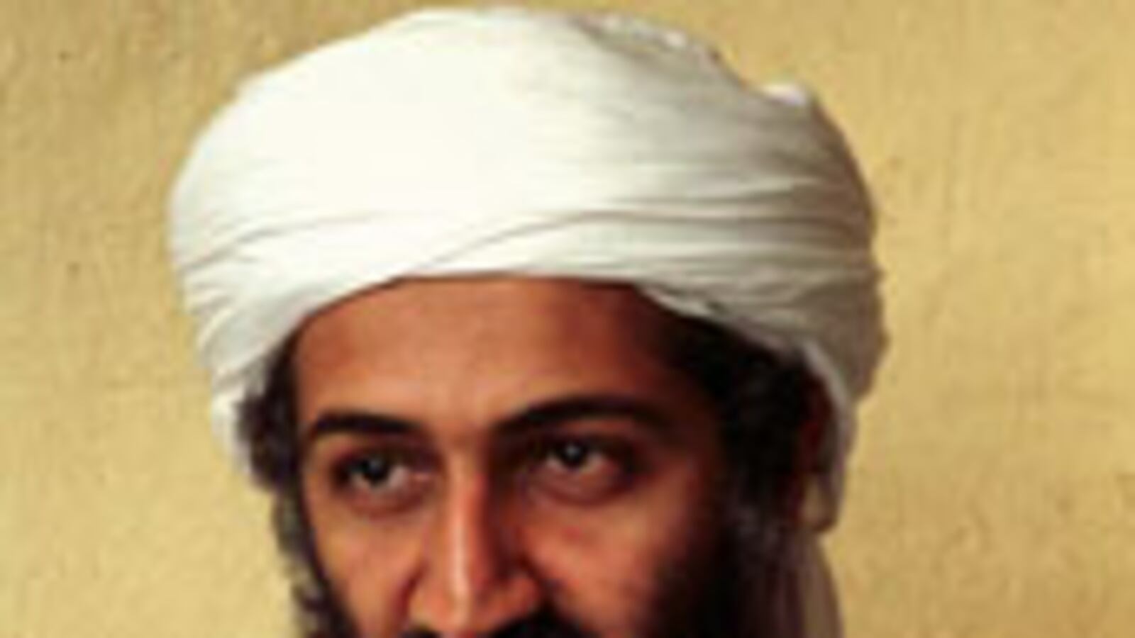 articles/2010/01/24/hitting-bin-laden-where-he-lives/riedel-bin-laden_77391_u052by