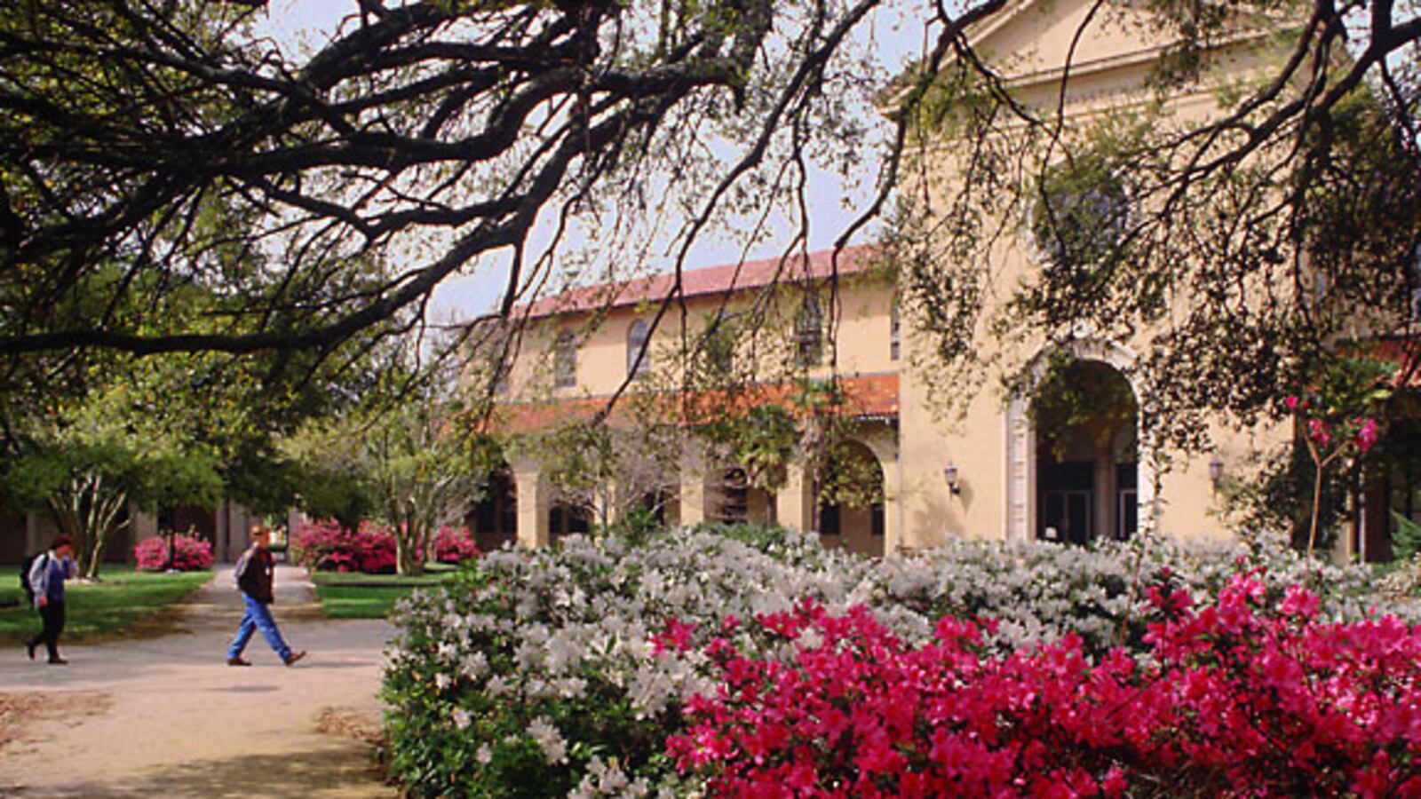 Lastatefosterquad_geffkq