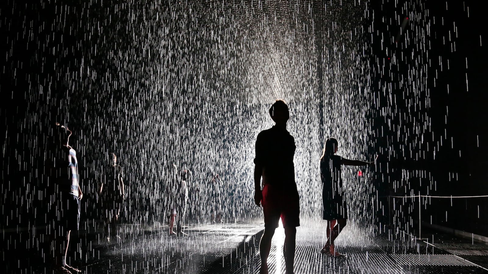 galleries/2013/12/23/must-see-the-best-art-exhibits-of-2013-photos/131221-art-rain_jkndhk