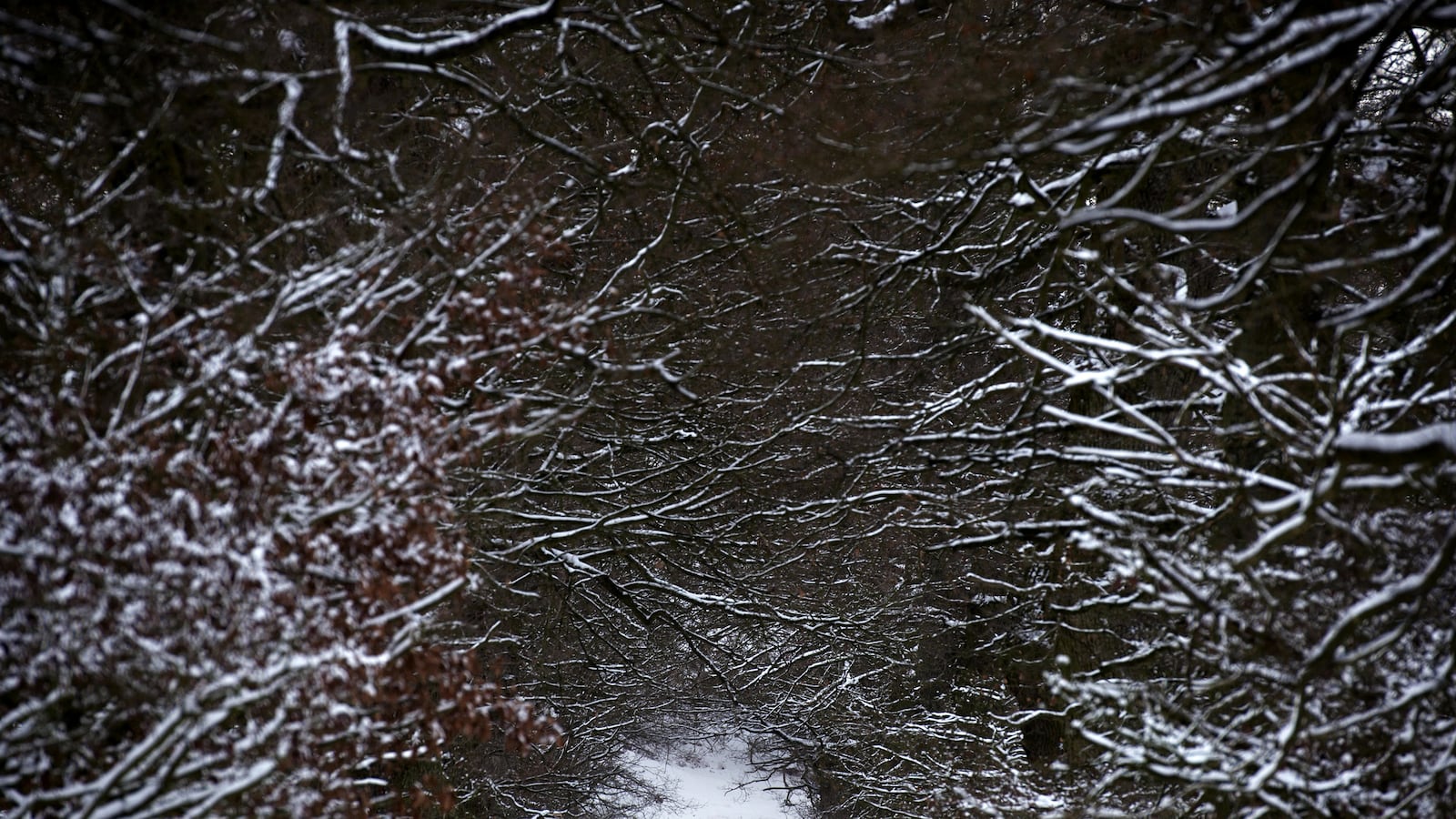 articles/2013/06/25/the-unfindable-place-robert-macfarlane-s-holloway/130621-platt-macfarlane-tease_qn71ab