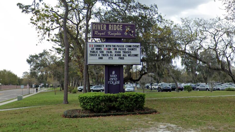 Screen_Shot_2020-02-10_at_12.15.09_qjhr3n