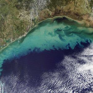 23-researchersp_g2wbyb