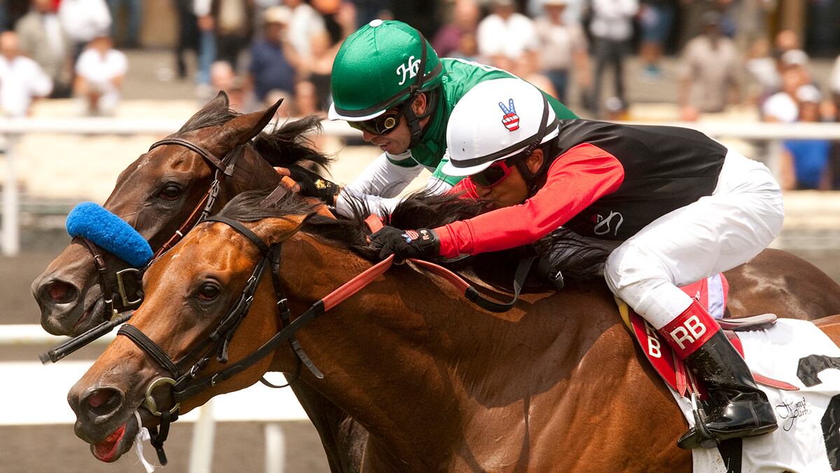 articles/2012/07/12/should-congress-police-horseracing/horse-racing-hearings_hsvonf