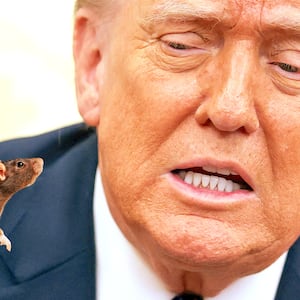 Donald Trump, rat photo illustration