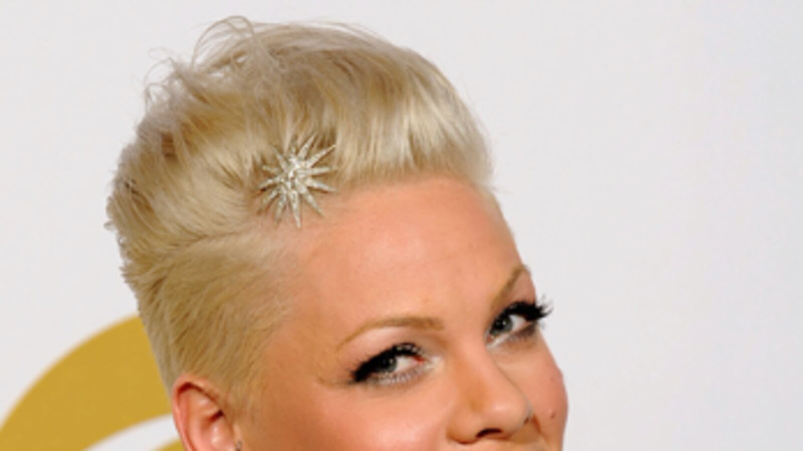 cheats/2010/11/10/pink-is-pregnant/pink-pregnant_ao3wuc