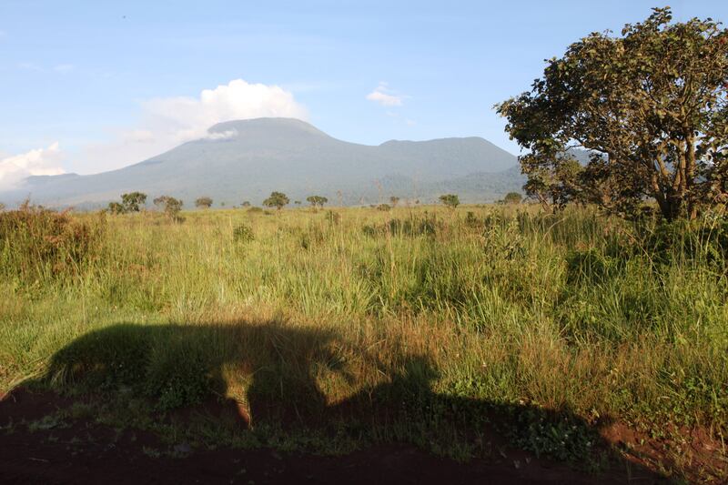 galleries/2014/04/25/the-battle-for-the-world-s-last-mountain-gorillas-photos/140425-virunga-park1_t381jp