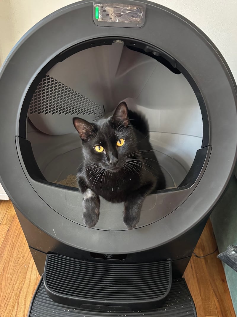 Litter Robot 5 Pro review