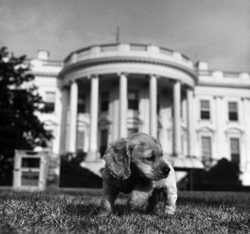 galleries/2009/04/12/presidential-pets/presidential-pets---harry-truman-dog-feller_cjux7h