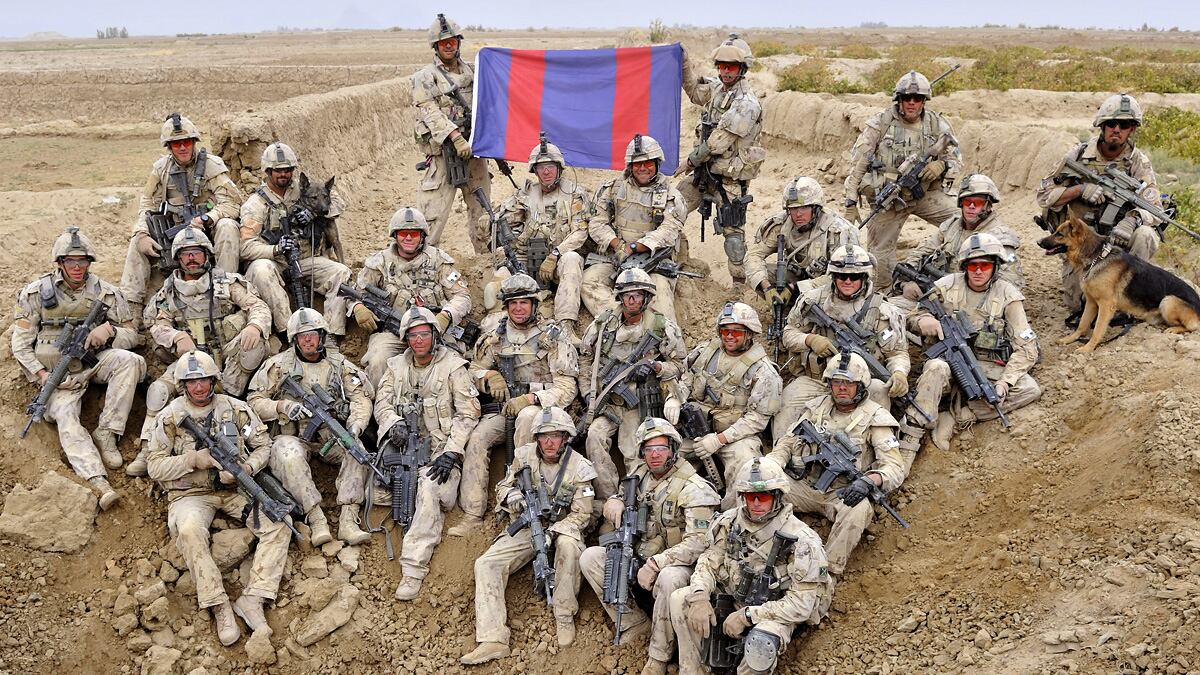 articles/2012/09/23/back-home-service-dogs-sleep-in-beds-and-sniff-the-sofa-for-mines/hero-dogs-mcelwaine_g5tebo