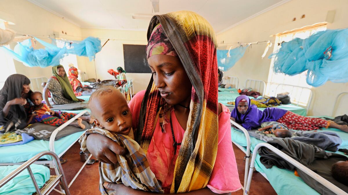 cheats/2011/08/12/somalia-hit-by-cholera-epidemic-un/david-muir-africa-box_jq47bt