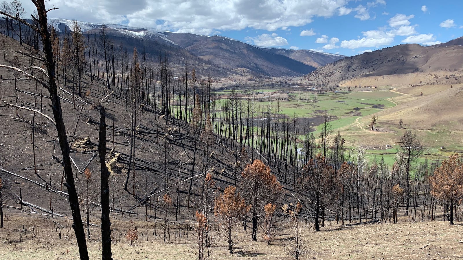 210530-singer-wildfires-tease_acftyh