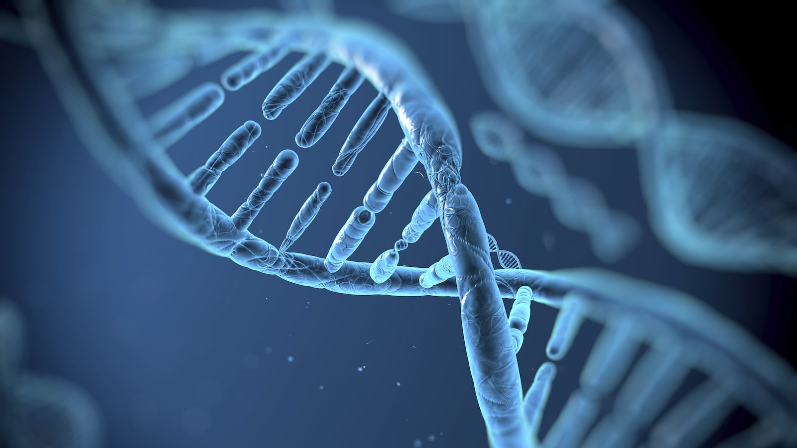 cheats/2014/05/07/scientists-make-artificial-gene-code/140507-genetic-code-cheat_fuofup