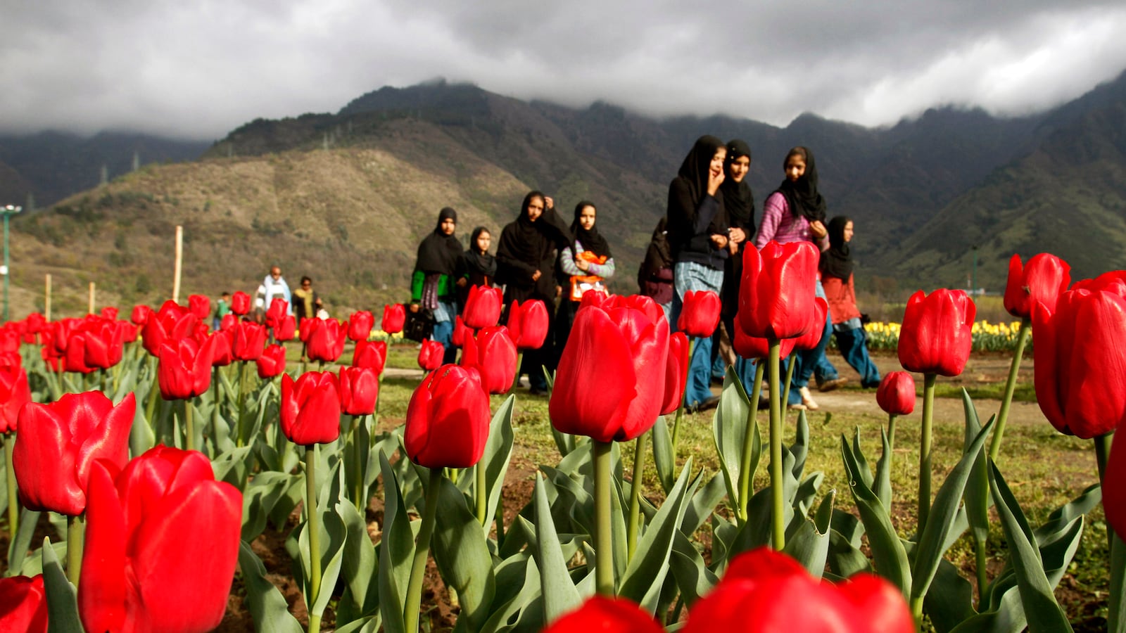 galleries/2013/04/11/spring-in-bloom-around-the-world/130410-spring-tease_okjdgz