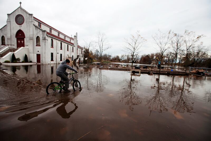 articles/2012/11/02/the-new-york-city-marathon-will-be-a-logistical-nightmare/gross-on-marathon-embed2_vkckwx