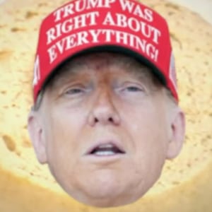 Gavin Newsom Press Office