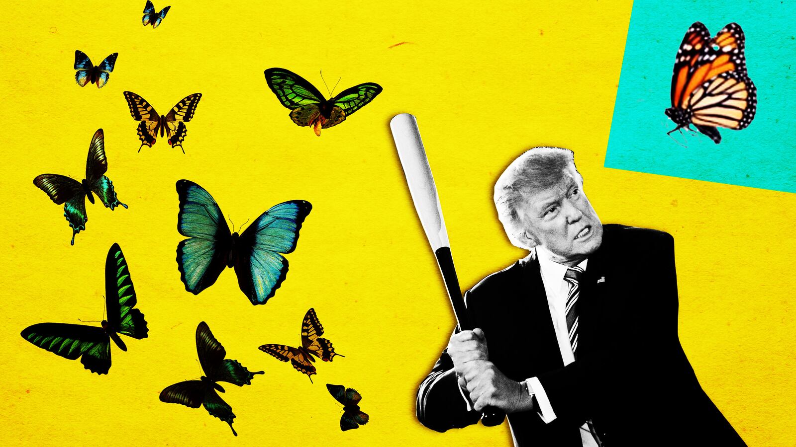 190213-weill-butterfly-trump-tease-2_prt0y8