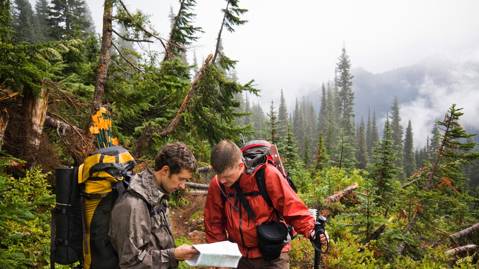 articles/2013/03/03/clues-for-finding-forrest-fenn-s-buried-treasure-part-2/130302-dokoupil-fenn-gold-tease_nmvhvs