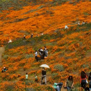 GettyImages-1135492884_1_oo0gli