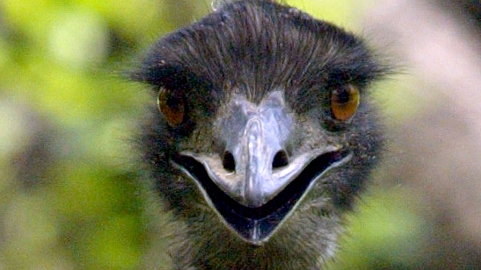 2004-06-21T000000Z_1488626697_RP5DRIBCSTAA_RTRMADP_3_INDIA_hmk7xa