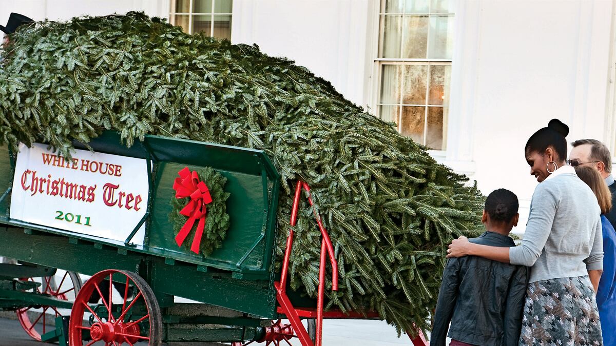 cheats/2011/12/11/america-s-holiday-faith-crisis/news-gallery-111205-white-house-christmas-tree_dcondh
