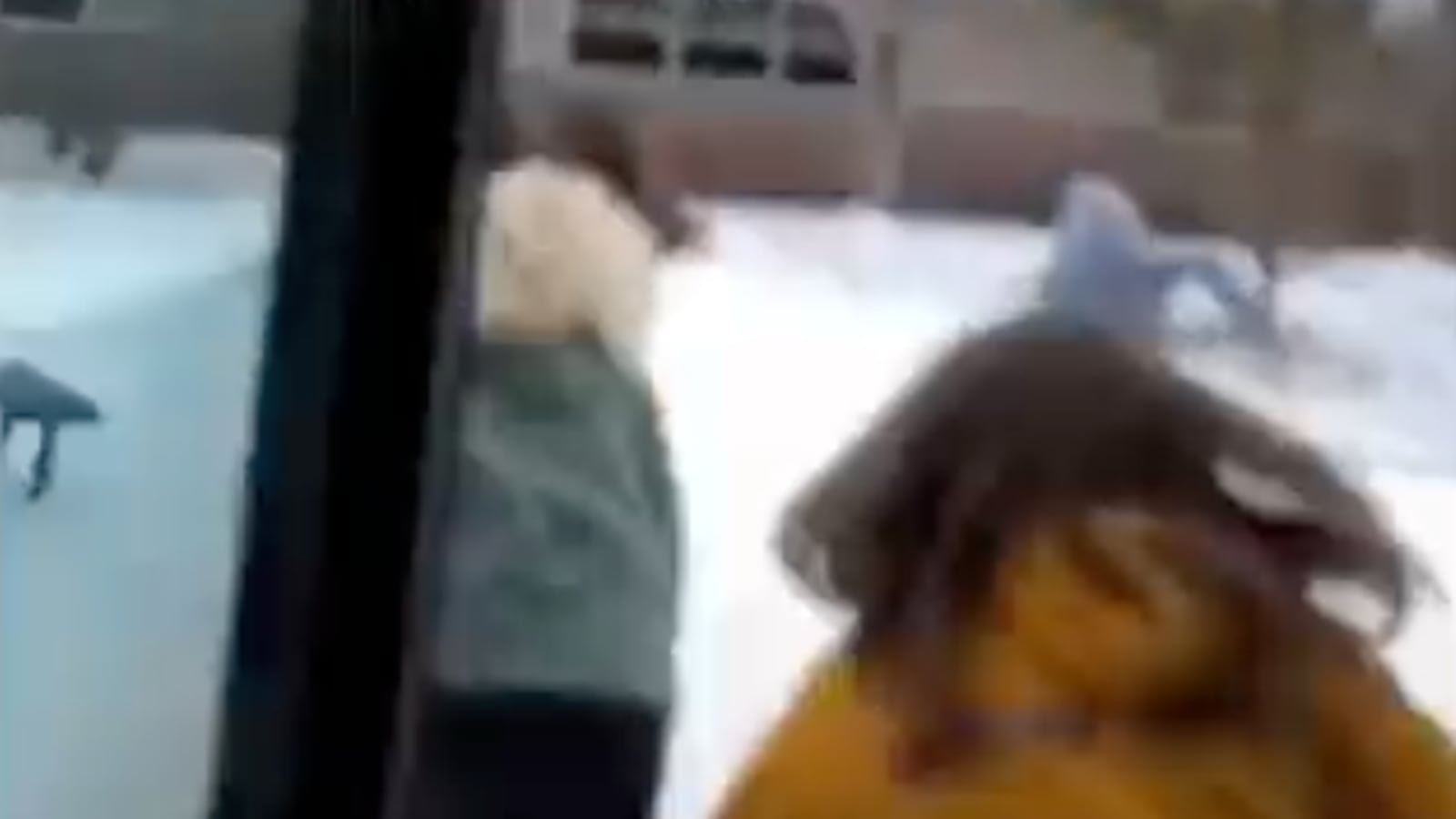 Screen_Shot_2021-11-30_at_8.27.53_PM_zrqxox